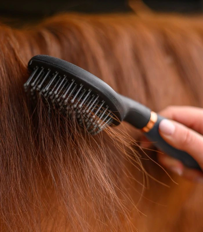 Waldhausen - Kartáč na dlouhé žíně s gelovou rukojetí