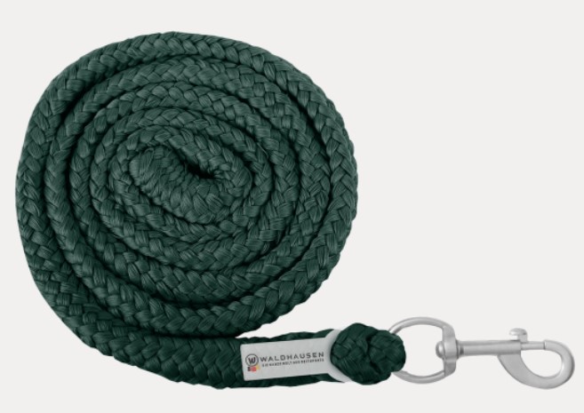 Waldhausen - Vodítko Economic