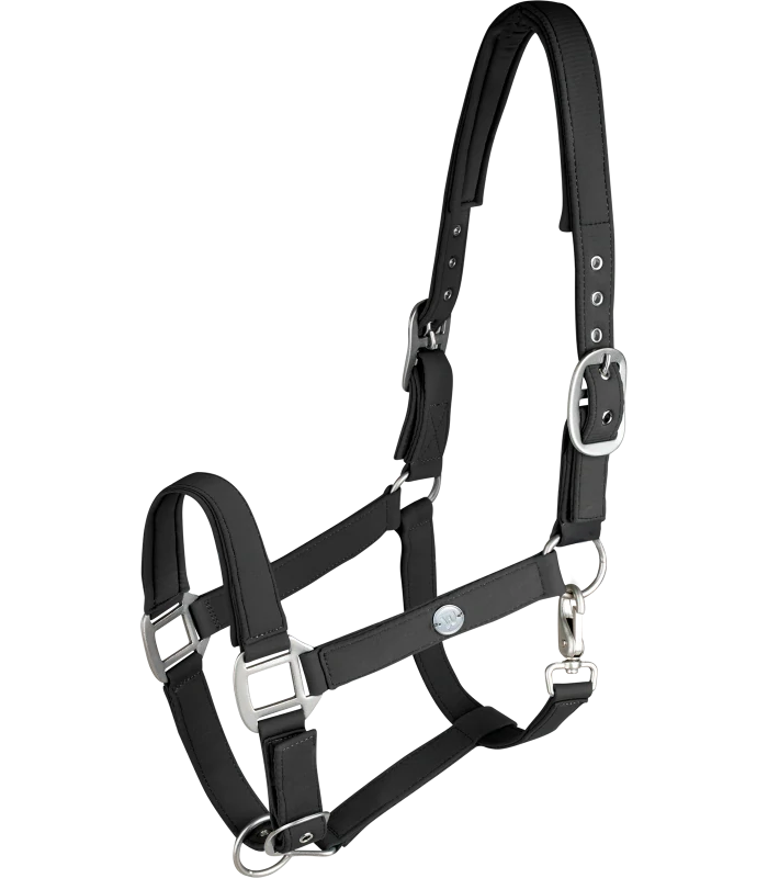 Waldhausen - Ohlávka Trinidad